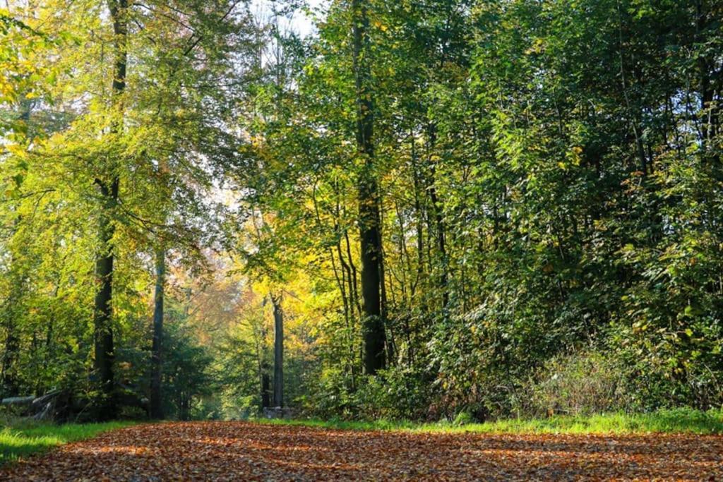 Appartamento Assendrupgaard Vejle Esterno foto
